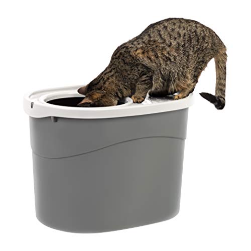 Best Top Entry Litter Boxes For Clean, Odorless Cat Hygiene
