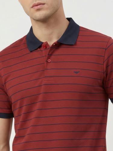 Image of Park Avenue Men Slim Fit Stripe Pattern Pure Cotton Polo Neck Half Sleeve Casual T-Shirt