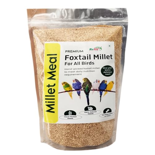 Image of REFIT ANIMAL CARE Foxtail Millet for Birds | Kangni Seeds | Bird Food 450 gm, Millet Meal