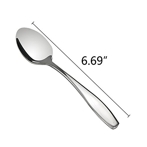 Ggbin 12 Pieces Small Dessert Spoons, 6.7 Inch, Stainless Steel, R #TOP2