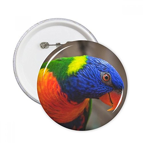 Badge rond perroquet multicolore DIYthinker pins décoration vêtement M