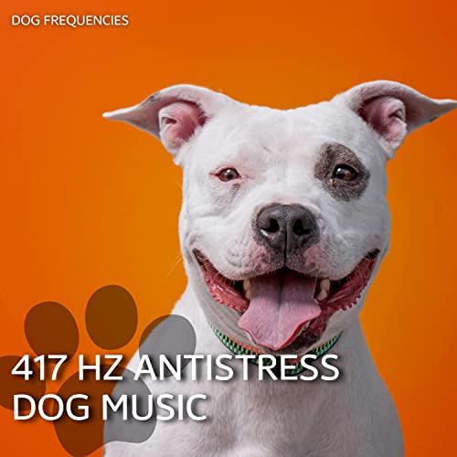 Amazon Music Dog Frequencies & Dog Music & Dog Therapy Zoneの417 Hz