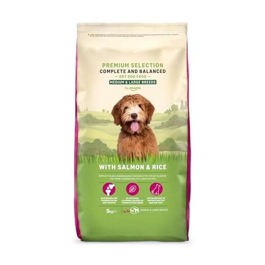 Lifelong Hundefutter mit Lachs und Reis