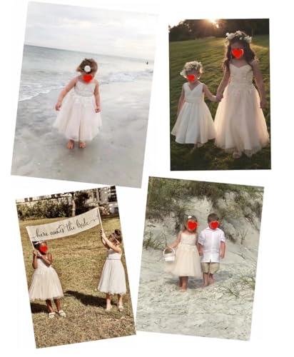 Tulle Spaghetti Strap Flower Girl Dress Lace Applique Wedding Dress for Girls Short Holiday Pageant Party Gown4