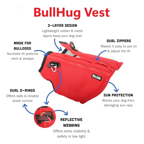 BullHug All-Weather Dog Vest – 2-in-1 Cooling & Warming Jacket for Bulldogs, French Bulldogs & Pugs – Adjustable, No-Choke Fit, Lightweight, Breathable & Windproof for All Seasons (Sky Blue, Medium) - Image 5