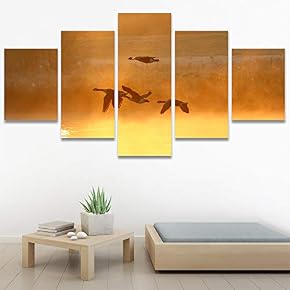 SIGNWIN 5 Panel Canvas Wall Art Birds Closeup...