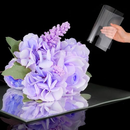 Láminas plásticas transparentes PET 10 unidades miniatura 6
