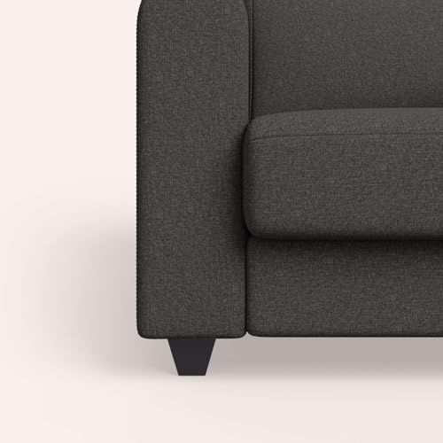 Image of Interio by Godrej Sofa Aspire 1 Seater Fabric Sofa for Living Room, 1-Year Warranty, Solid Wood, Graphite Grey