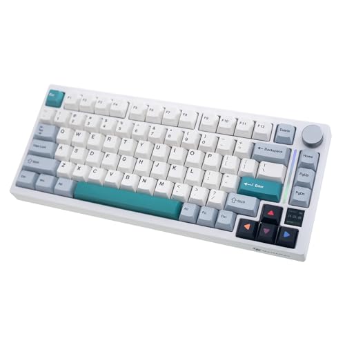 GK GAMAKAY TK75 V2 75% Silent Mechanical Keyboard with TFT Screen, Hot Swap RGB Bluetooth 5.0/2.4GHz...
