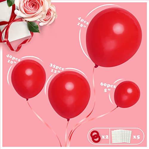 Henviro Red Latex Different Size Balloons -139PCS 18/12/10/5 Inches for Balloon Arch Garland Kit. For Birthdays, Baby Shower, Graduation, Wedding, gender reveal, Bachelorette Parties Decorations