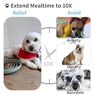 Bifeaw Slow Feeder Dog Bowls, Dishwasher Microwave Safe Silicone Puppy Puzzle Bowl with Non-Slip Design for Eating (Grey Green)