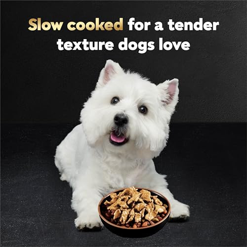 Image of Cesar Filets in Gravy Wet Dog Food Wood-Grilled Chicken, Wet Food for Dogs, 1.76 oz. Mini-Pouches, 20 Count