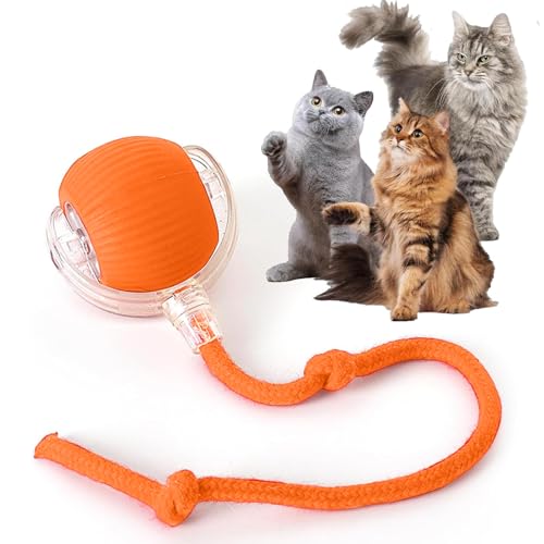 Rocfish LED Rolling Cat Ball
