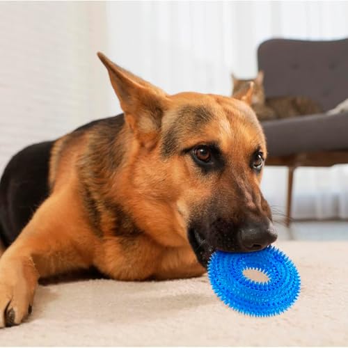 Image of Squeaky Ring Toy|Non- Toxic and Durable Squeaky Ring Shaped Ring Toy |Soft Natural Rubber Toy for Chewing and Dentle Cleaning (Blue, Size Medium)