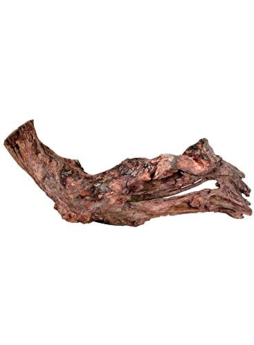 Zolux - Racine Mangrove - 40 à 60 cm 356035 Multicolore Taille Unique