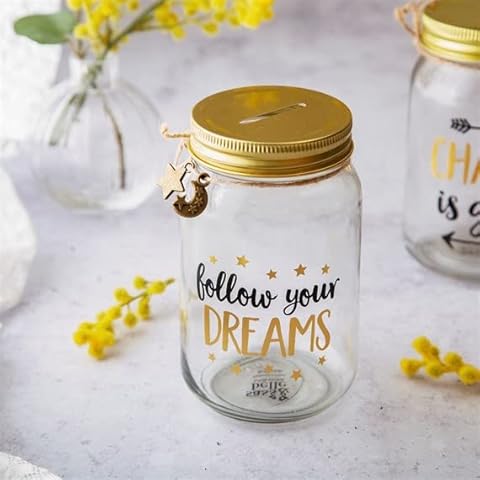 Sass & Belle Follow Your Dreams Money Jar Cover