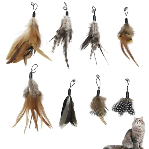 Cosswe 8 Stück Cat Feather Toys Ersatz Katzenspielzeug Feder Katzen Federspielzeug für Katzen inklusive Nachfüllungen für natürliche Katzenfedern