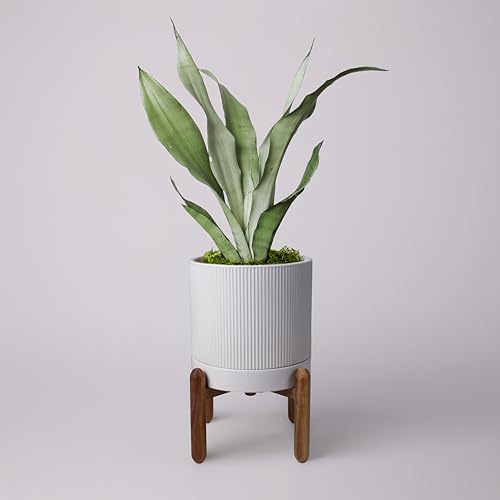 HERDUK 8 Inch Ceramic Planter with Natural Wood Stand w/Drainage & Saucer - Modern Indoor Planter for Cacti, Snake Plants & Aloe Vera
