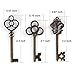 LURLIN Mixed Set of 30 Large Skeleton Keys with Antique Style Bronze Brass Skeleton Castle Dungeon Pirate Keys for Birthday Party Favors, Mini Treasure Toy Gifts, Medieval Middle Ages Theme