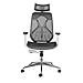 Misuraa imported xenon high back ergonomic chair for office & home Clearance