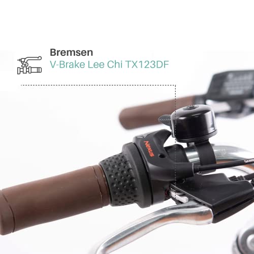 TRETWERK Sophia Elektrische fiets, retro e-bike voor dames en heren, met terugtraprem, E-bike 28 inch met led-display, e… - Afbeelding 7