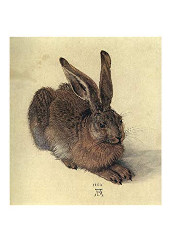 Jeune lièvre reproduction mat Dürer avec cadre de prestige