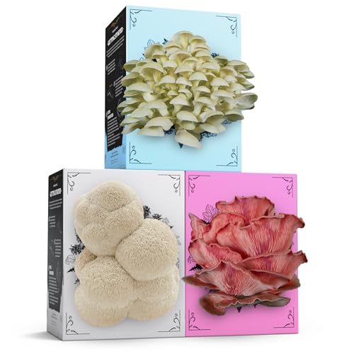 Hodgins Harvest 3 Pack Mushroom Grow Kit | USDA Certified Organic | Grow Your Own Delicious Gourmet Mushrooms at Home