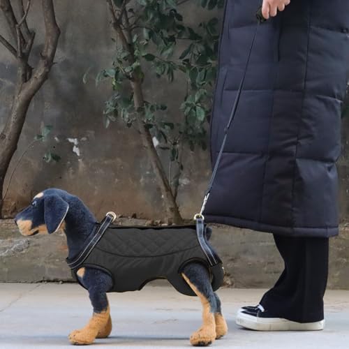 Élingue de levage de chiens paralysés : résolvez le problème des déplacements handi - 3