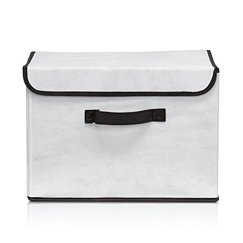Furinno NW13203BG Non-Woven Fabric Soft Storage Organizer with Lid, Beige