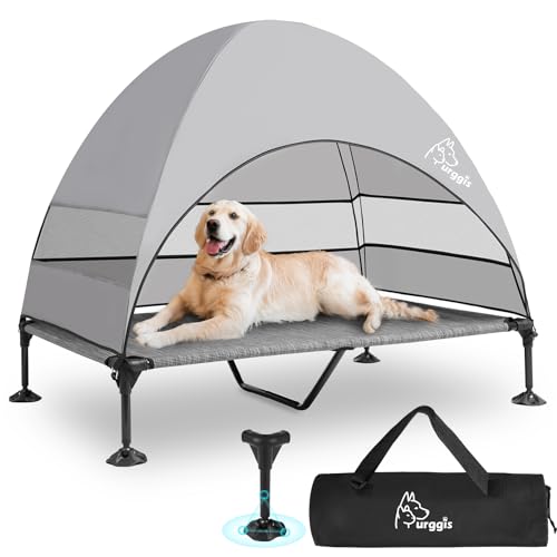 Elevated Dog Bed with Canopy