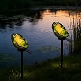 YZYOE Lumière de grenouille feuille lotus alimentée par le soleil, lampe de sol la résine décoration jardin mignonne d'animaux, crépuscule sans fil à l'aube la lumière LED imperméable.