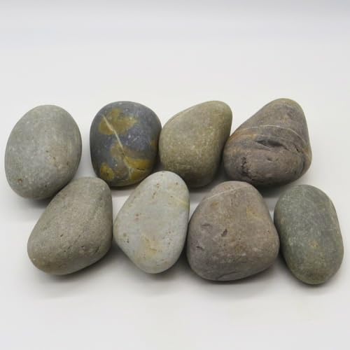 Pierres d'aquarium naturelles 2,3 kg pour stabiliser le décor