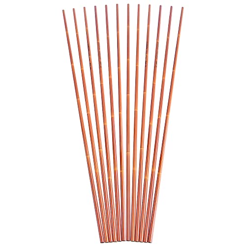 Flèches de tir à l'arc en carbone 76,2 mm à structure renforcée