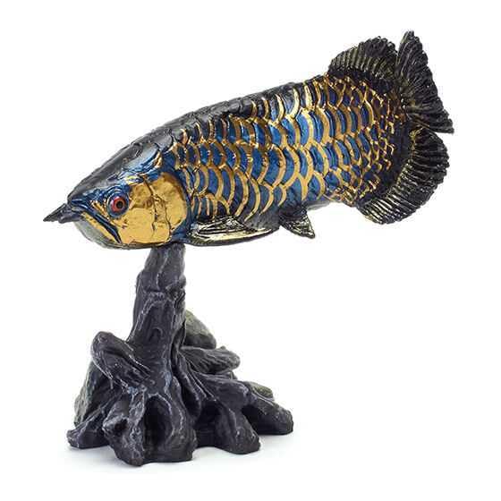 Amazon.co.jp: 全5種フルコンプ 古代魚 いきもの大図鑑 ミニ