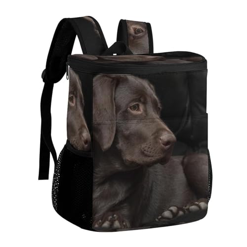 Sac à dos isotherme marron en polyester robuste pour le camping et le pique-nique