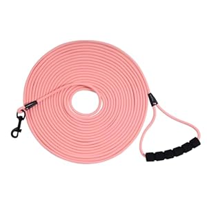 Laisse Longue pour Chien d&rsquo;Extérieur – Corde Robuste avec Poignée et Sac de Rangement – Laisse de Dressage