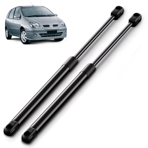 ARANA 2 x verin de coffre pour Scenic 1 et Megane Scenic (1996-2003) de levage pour verin a gaz, verin hydraulique et amortisseurs, 7700434465, 7700828454