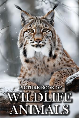 Image of Wildlife Animals: Picture Books For Adults With Dementia And Alzheimers Patients - Beautiful Photos Of Wild Scenes with Animals