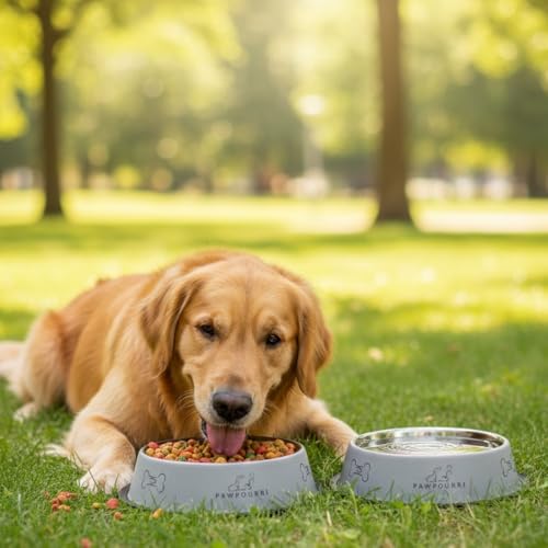Image of Combo of Anti-Skid Feeding Bowls for Dogs, Cats & Puppy Pet Bowl Pack 2 Stainless Steel Pet Bowl (700 ml Each, Blue & White)