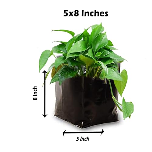 Image of IAgriFarm UV Protected Poly Grow Bag /Nursery Plant Bags, 5x8 inch,250 Qty,Black,