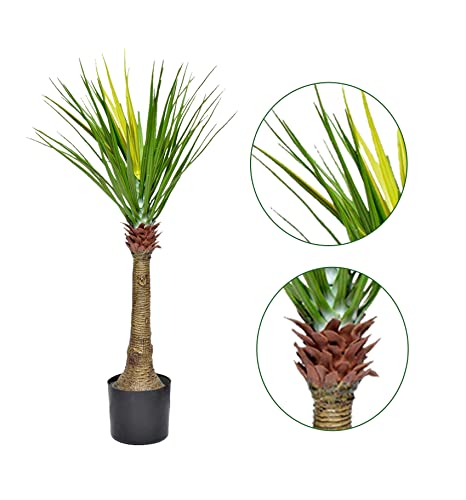 Image of Kayra Decor 3 Feet Cactus Plant -Big Plants for Living Room Artificial with Pot (Black)
