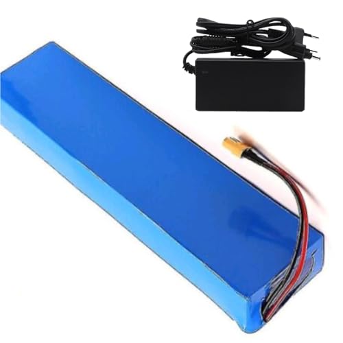 SXYKXYDL Batería de Litio de 48 V y 20 Ah, 13S3P, para Bicicleta eléctrica, ciclomotor, Impermeable, con Cargador (XT60)