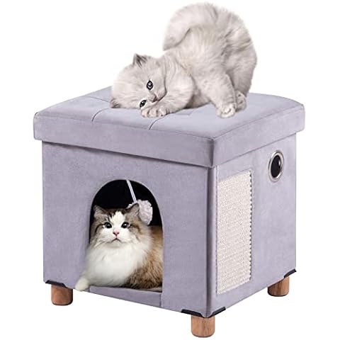 Cama Plegable para Gatos de Interior Brian & Dany Cover