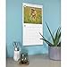 Wwf Big Cats Square Wall Calendar 2026
