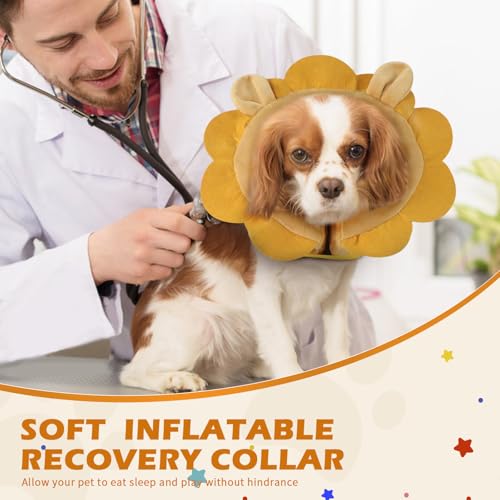 IEUUMLER Aufblasbare Halskrause Hund, Einstellbar Bequem Hundekragen Leckschutz für Hunde & Katzen Nach der Operation Verhindert das Beißen und Kratzen EU004 (XL, Brown Lion)