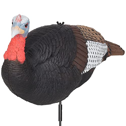 Comparison of Best Turkey Decoys [Top Picks 2023 Reviews]