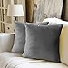Produktbild WEYON 2er Set Samt Kissenbezug Dekorative Dekokissen Kissenhülle mit Strapazierfähigem Verstecktem Reißverschluss für Sofa Schlafzimmer Auto 40X40cm Hellgrau