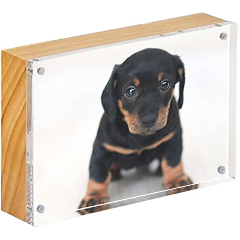 Canetti Wood Back Magnetic Picture Frame - Free Standing Picture Frames Cover