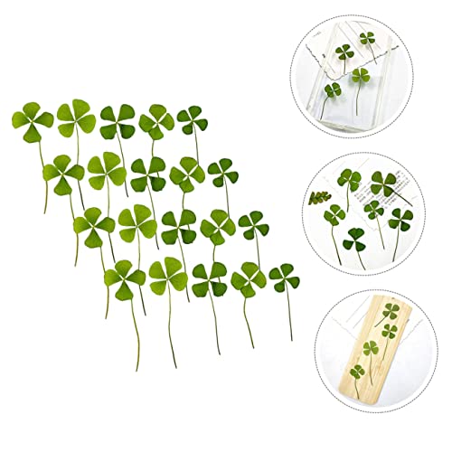 Zerodeko 24pcs Trébol de Cuatro Hojas Seco Natural Presionado miniatura 3
