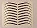 Temporary Tattoo Eyebrow (Variety Exquisite Temporary Tattoo Stickers)